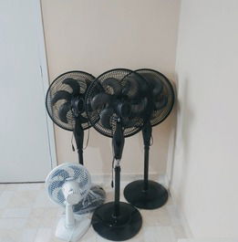 Ventiladores.