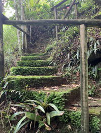 Escada acesso a um dos poços