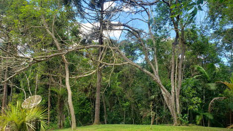 HERMOSO SITIO CON WI-FI (EN PLENA NATURALEZA)