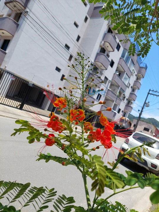 Apartment for vacation rental in Ubatuba (Itaguá)