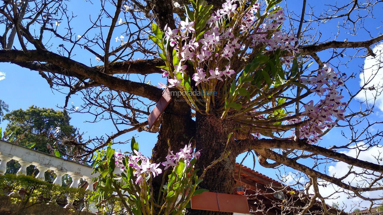 Ranch for vacation rental in Poços de Caldas (Morada dos Passaros)