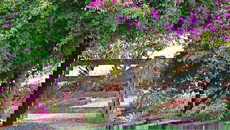 Chalet Terras de Bragança