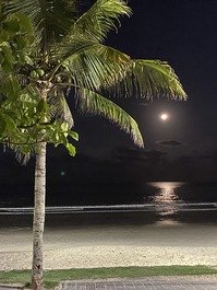 Super lua em meia praia