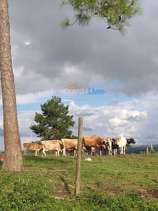 Granja para alquiler de vacaciones em Ibiúna (Ibiuna)