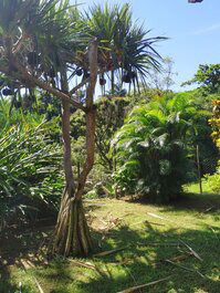 Casa para alquilar en Ilhabela - Siriuba1