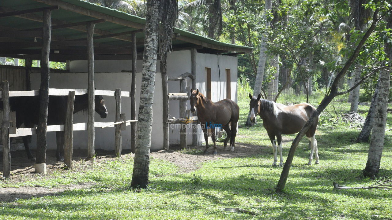House for vacation rental in Itacaré (Itacaré)