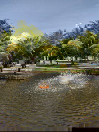 O som das águas caído é um momento pra você relaxar em meio a essa natureza.