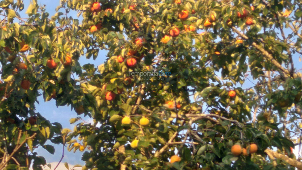 Chácara / sítio para aluguel de temporada em Guareí (Floresta)