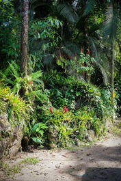 Ambiente para conectar con la naturaleza.