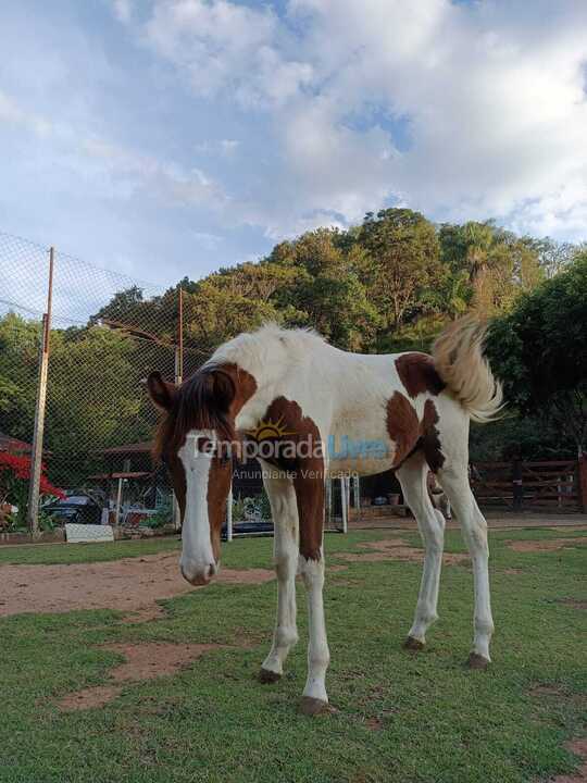Chácara / sítio para aluguel de temporada em São Paulo (Estancia São Paulo)