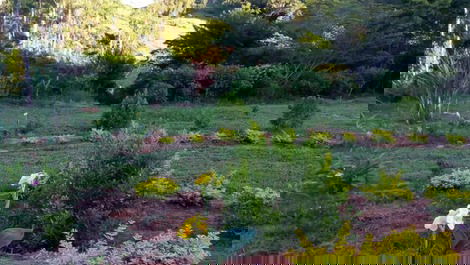 Rancho Paraíso: an experience close to nature!