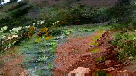 Rancho Paraíso: an experience close to nature!