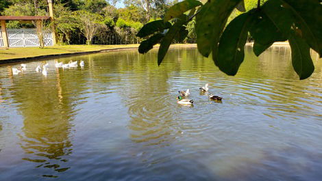 SITE FOR SEASONS NEAR SÃO LOURENÇO DA SERRA (EASY ACCESS)