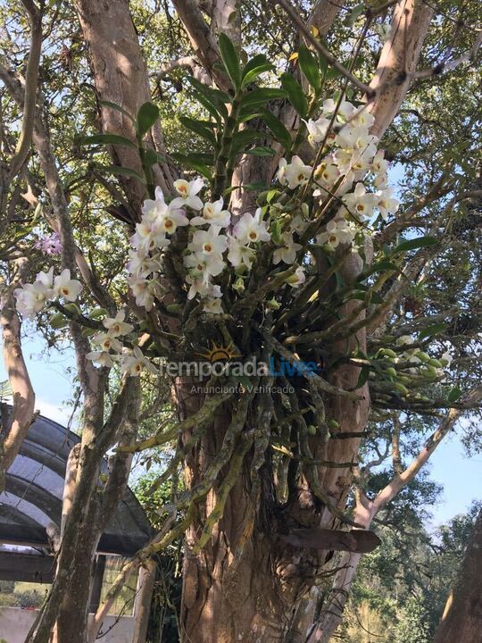 Granja para alquiler de vacaciones em Mogi das Cruzes (Biritiba Ussu)