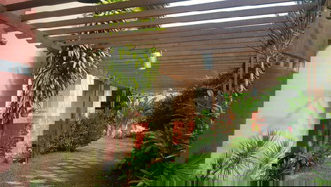Entrada arborizada 