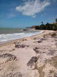 Apartamento de frente ao Mar em Jacumã