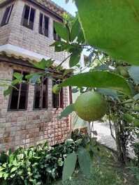 Latera da casa com árvores frutíferas 