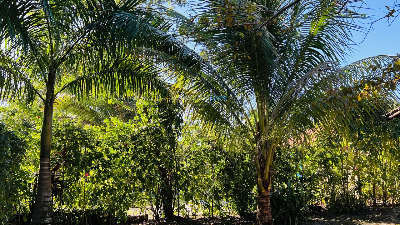 House for vacation rental in Cairu (Morro de São Paulo)