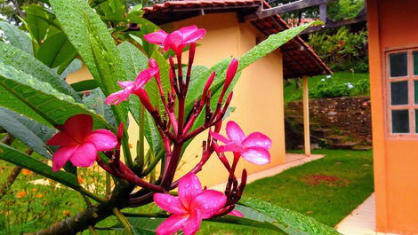 Casa para locação em local lindo e tranquilo na Serra da Moeda