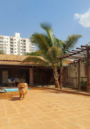 Casa para alugar em Olímpia - Centro