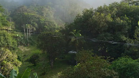 Nosso sítio conta com uma área de 300000 m2 de mata atlântica preservada