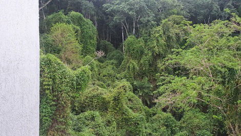 Vista da mata da area de lazer