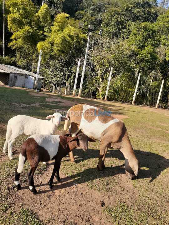 Chácara / sítio para aluguel de temporada em São Paulo (Estancia São Paulo)