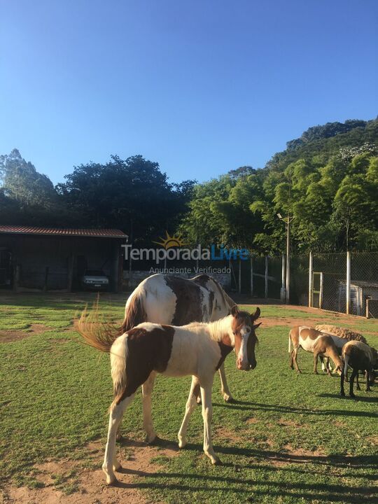 Chácara / sítio para aluguel de temporada em São Paulo (Estancia São Paulo)