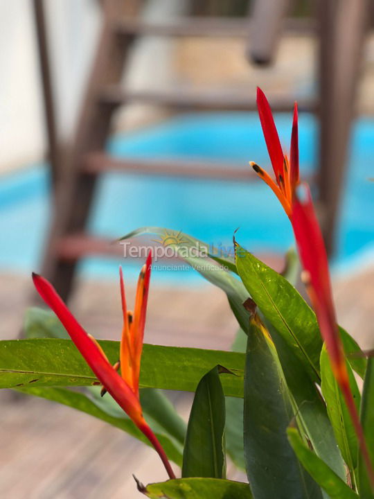 Casa para aluguel de temporada em Jijoca de Jericoacoara (Jericoacoara)