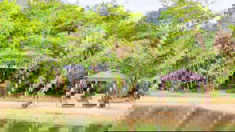 Praia à margem do lago