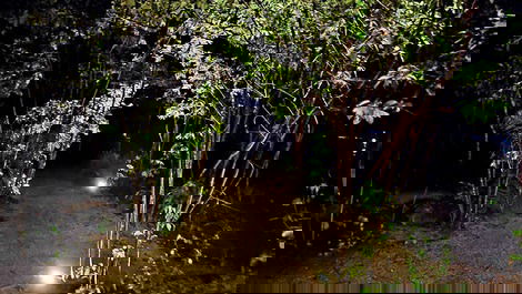 Caminho contêiner para o lago
