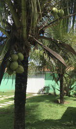Casa da tia Maria