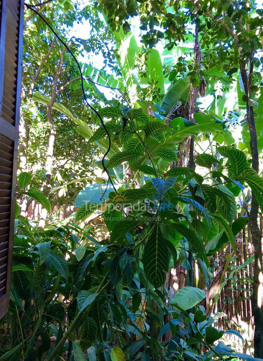 Casa para aluguel de temporada em Trancoso (Praia Dos Nativos)