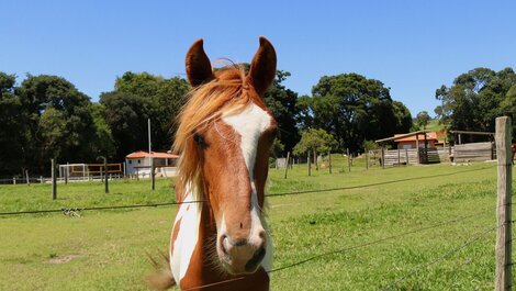Finca en Socorro-SP