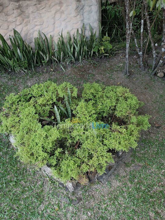 Casa para aluguel de temporada em Alto Paraíso de Goiás (Estância Paraíso)