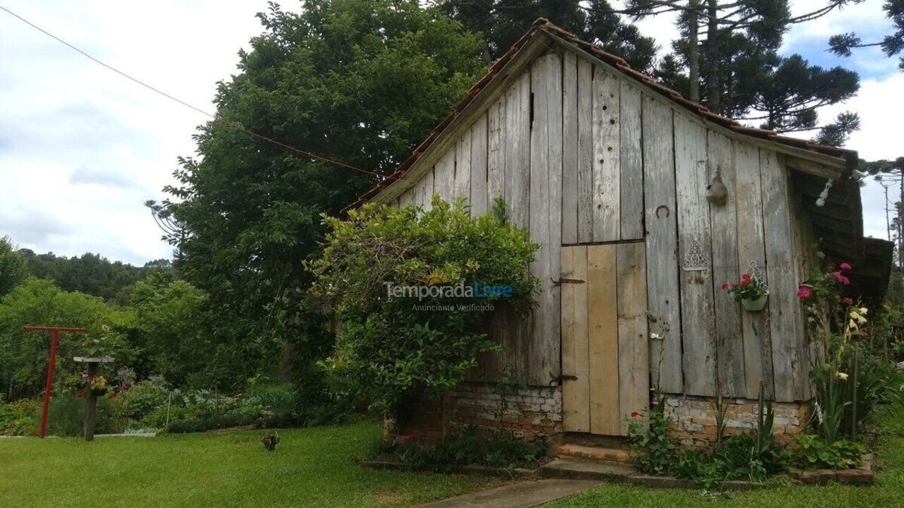 🏠 House for rent in Campo Alegre for vacation Bateias de Baixo Back