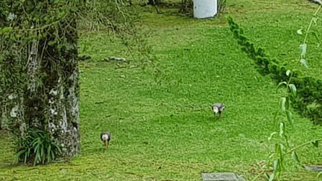 Fantástico Piso en el Pueblo de Montaña Laje de Pedra