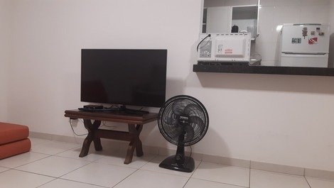 Tv e ventilador de chão