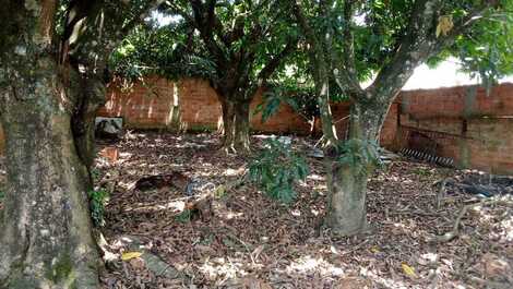 Granja para la temporada en Boituva SP