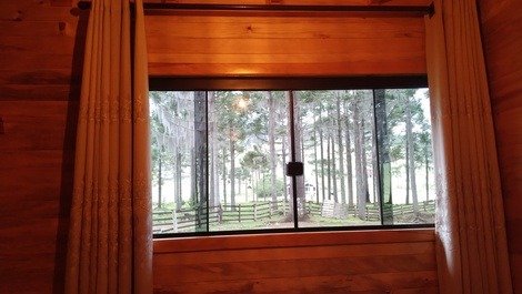 Little Wood and View Cabin / The River
