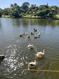 La mejor vista al Lago para relajarte con tu FAMILIA durante la temporada