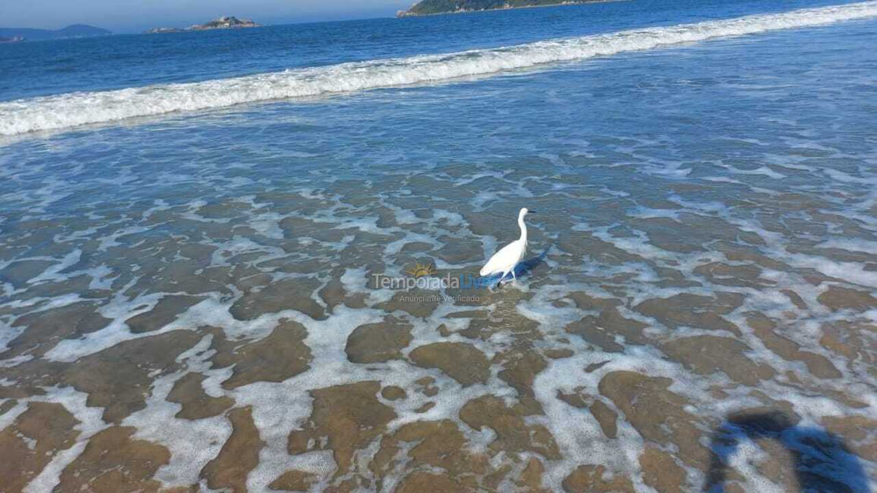 Casa para aluguel de temporada em Palhoça (Praia do Sonho)