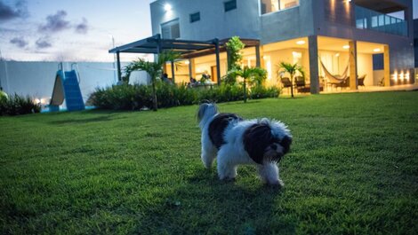 Increíble Casa en lo mejor de Praia de Graçandu por Carpediem