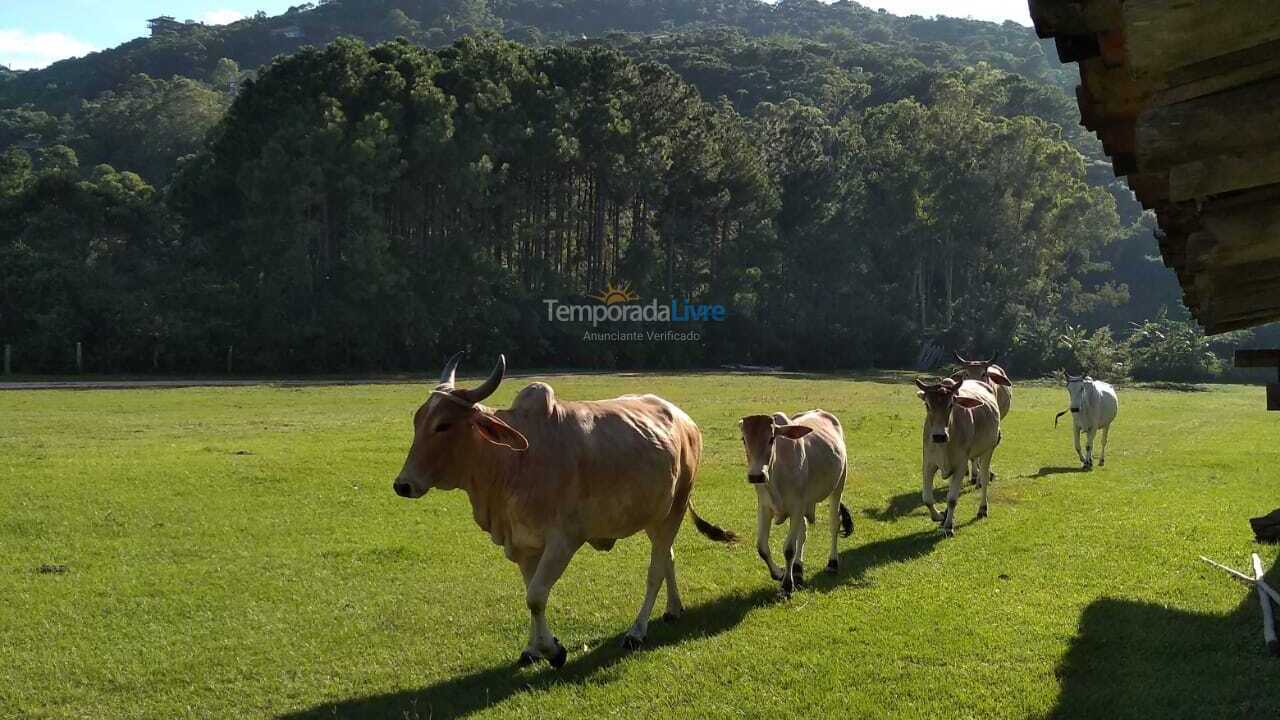 Casa para alquiler de vacaciones em Garopaba (Praia da Ferrugem)