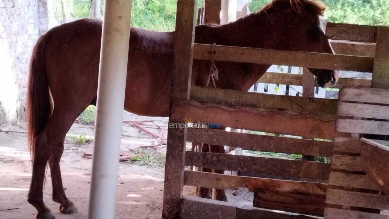 Granja para alquiler de vacaciones em Itapevi (Jardim Vargem Grande)