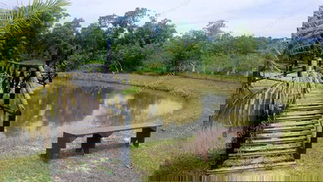 Site in Guapimirim