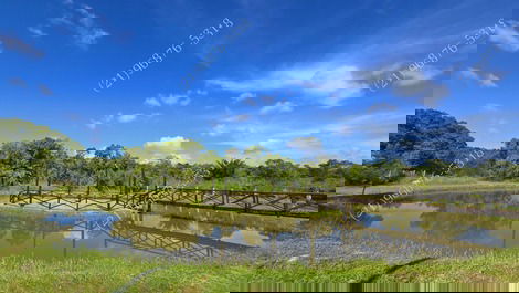 Site in Guapimirim