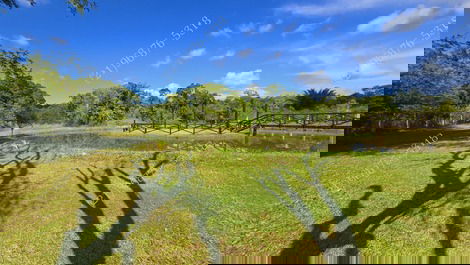 Site in Guapimirim