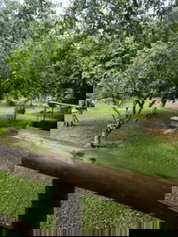 Site in Guapimirim