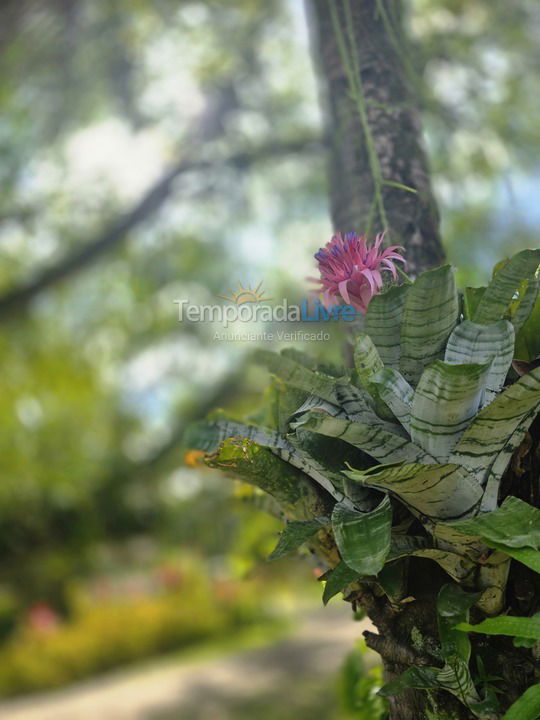 Ranch for vacation rental in Guapimirim (Guapimirim)